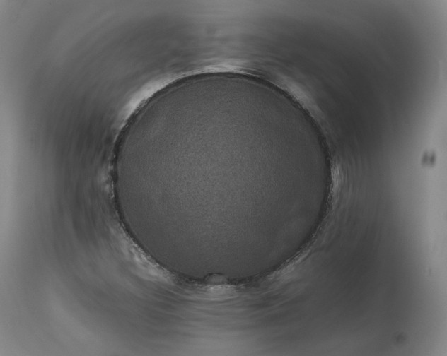 X0000113241308200909241537