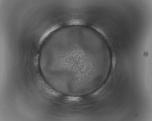 X0000113241309200909241537