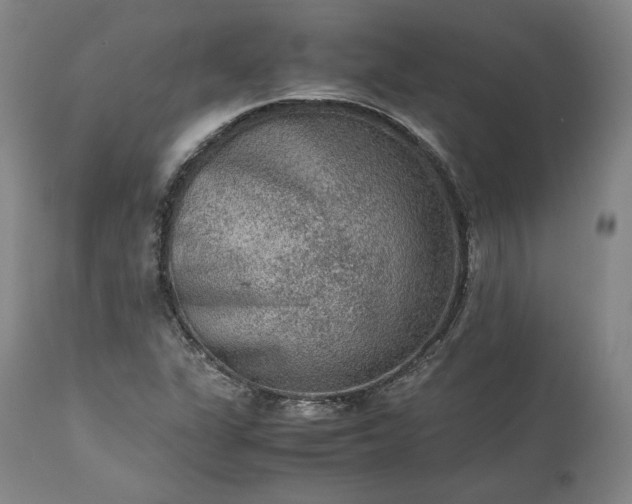 X0000113241311200909241537