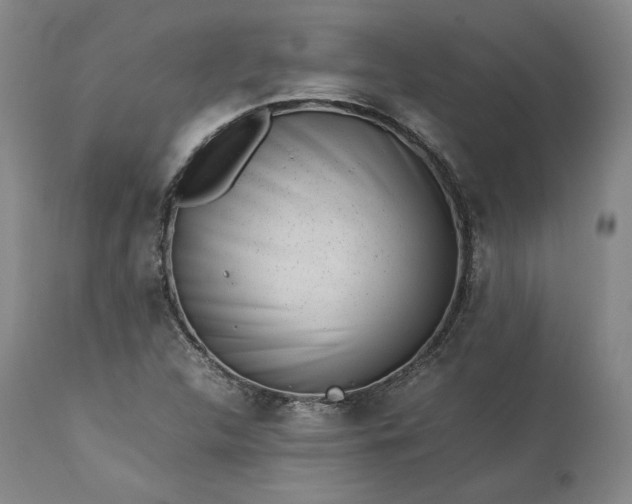 X0000113241312200909241537