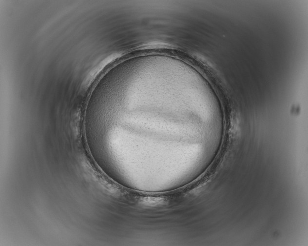 X0000113241313200909241537