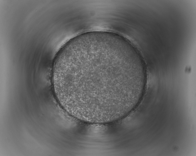 X0000113241314200909241537