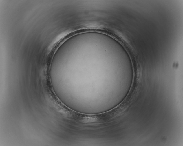 X0000113241315200909241537