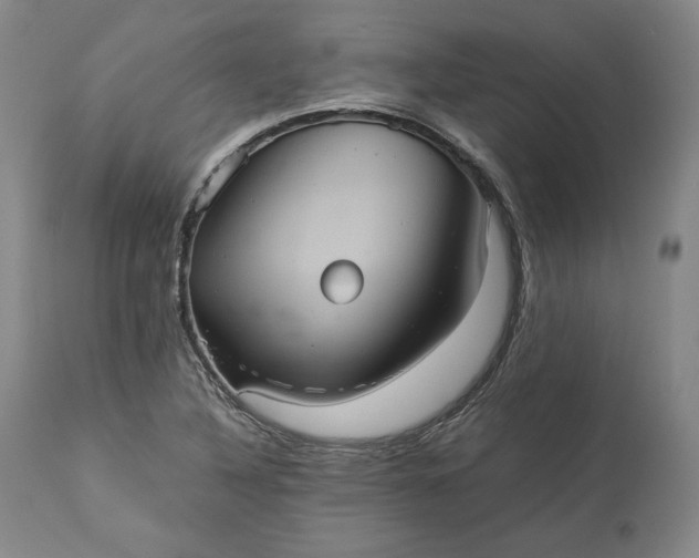 X0000113241316200909241537