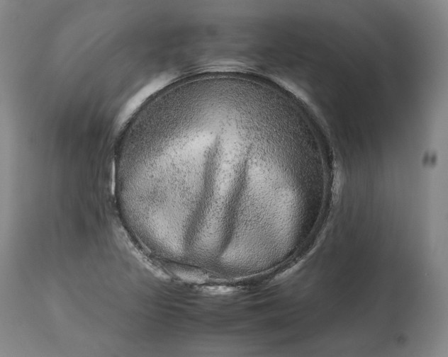 X0000113241317200909241537