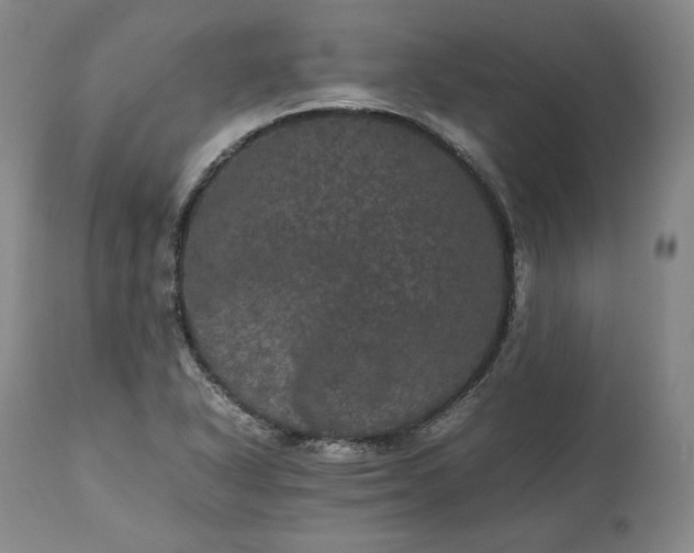 X0000113241318200909241537