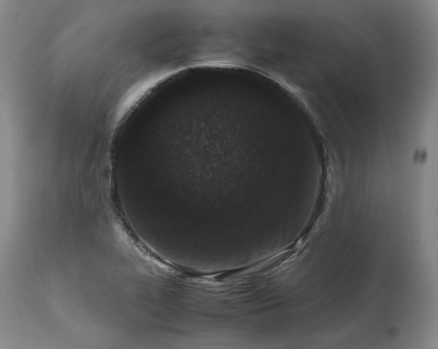 X0000113241319200909241537