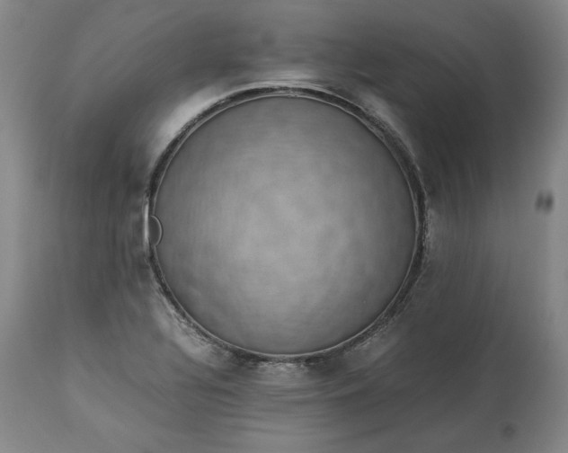 X0000113241320200909241537