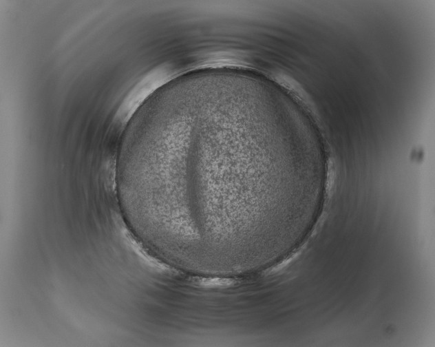 X0000113241321200909241537