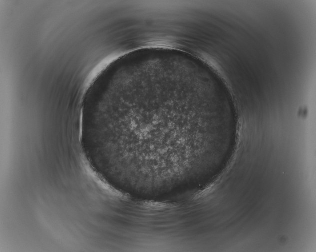 X0000113241323200909241537