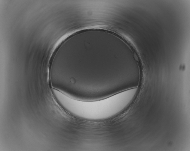 X0000113241324200909241537