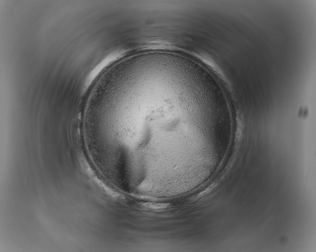 X0000113241325200909241537