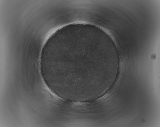 X0000113241327200909241537