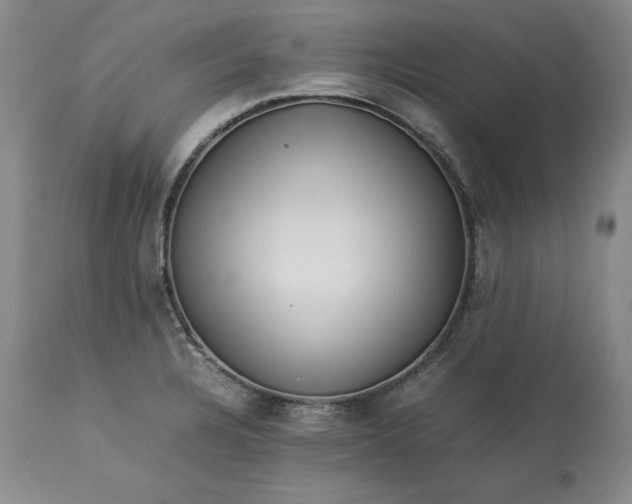 X0000113241328200909241537