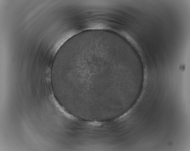 X0000113241329200909241537