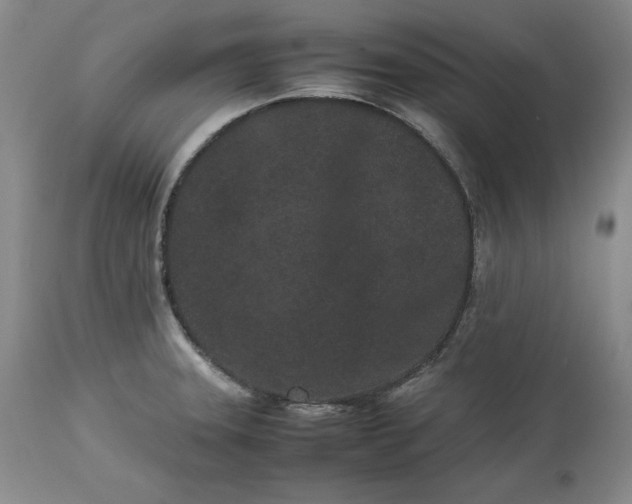 X0000113241331200909241537