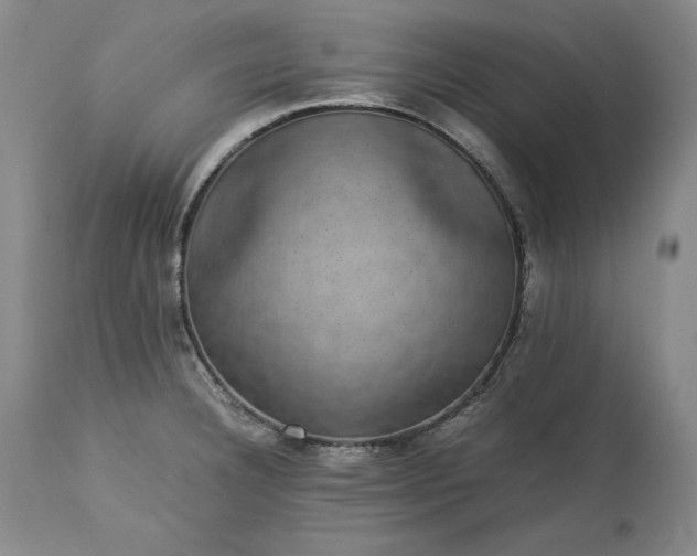 X0000113241332200909241537