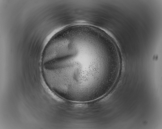 X0000113241333200909241537