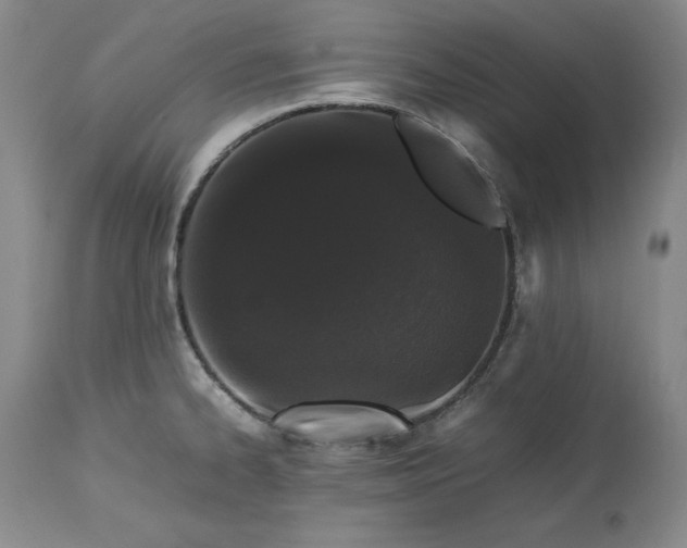 X0000113241334200909241537