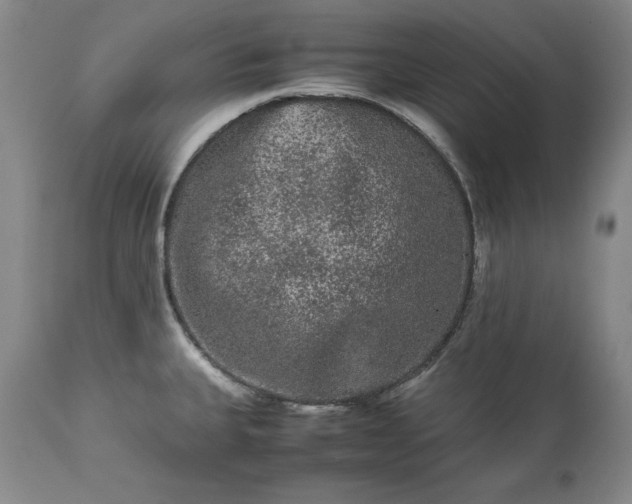 X0000113241335200909241537