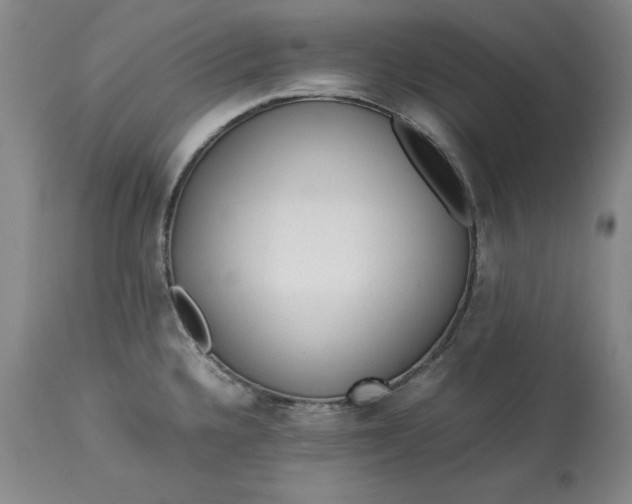 X0000113241336200909241537