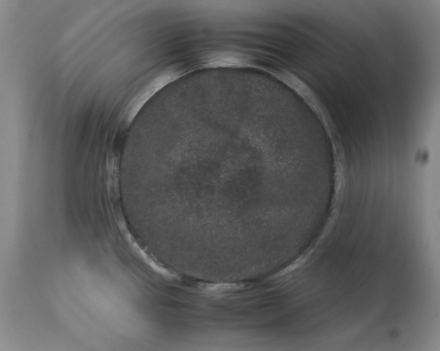 X0000113241337200909241537