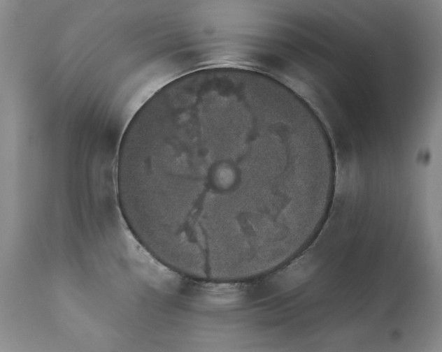 X0000113241338200909241537