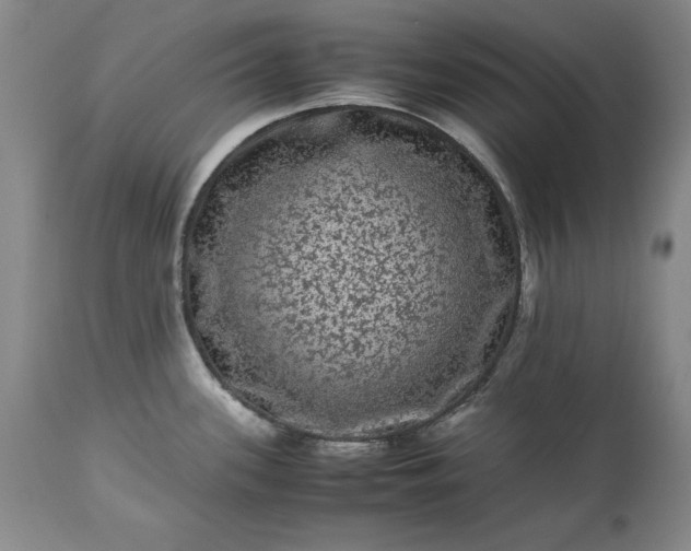 X0000113241339200909241537