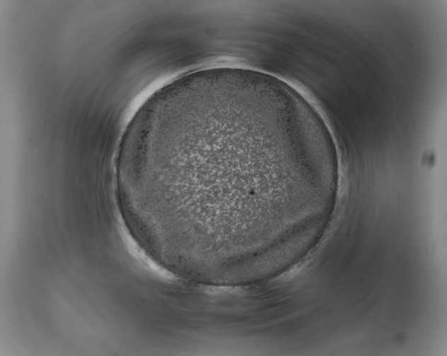 X0000113241341200909241537