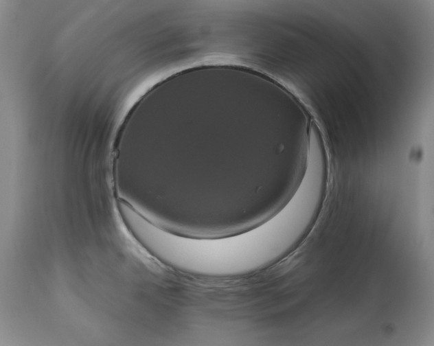 X0000113241342200909241537