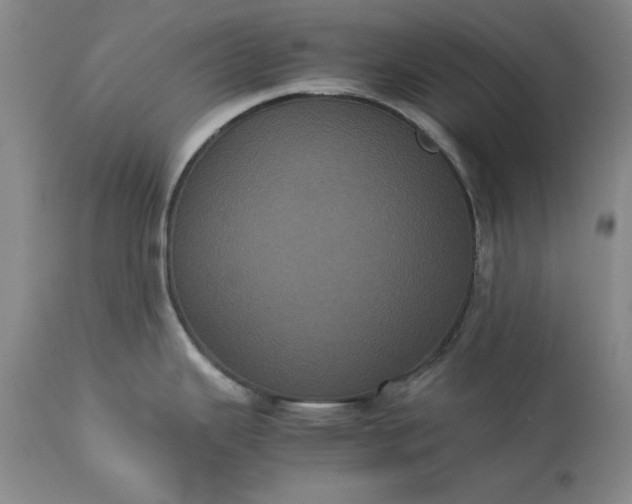 X0000113241343200909241537