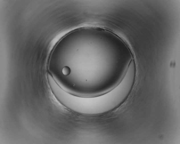 X0000113241344200909241537