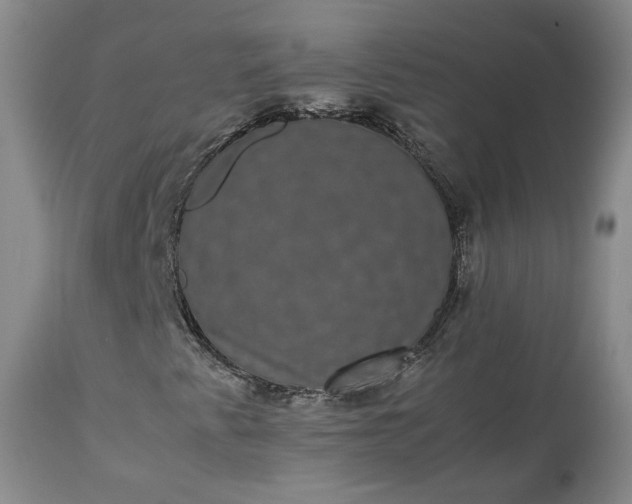 X0000113241345200909241537