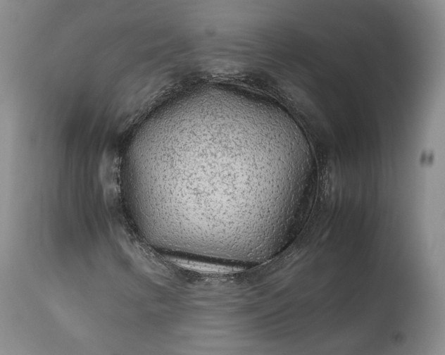 X0000113241346200909241537