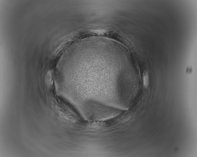 X0000113241347200909241537