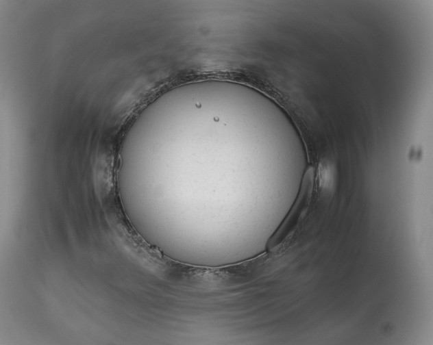 X0000113241348200909241537