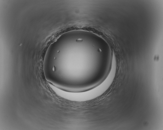 X0000113241349200909241537