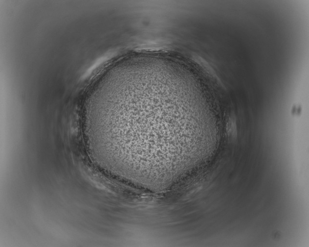 X0000113241350200909241537