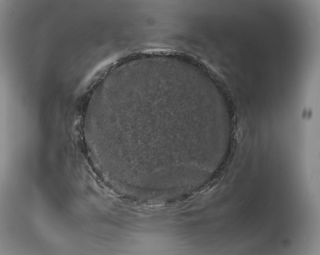 X0000113241351200909241537