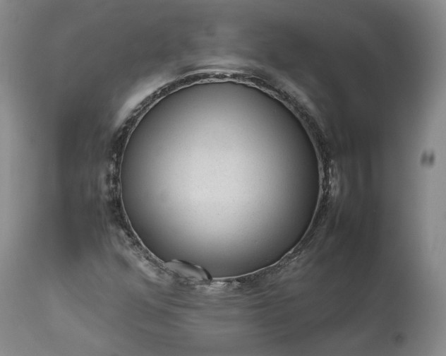 X0000113241352200909241537