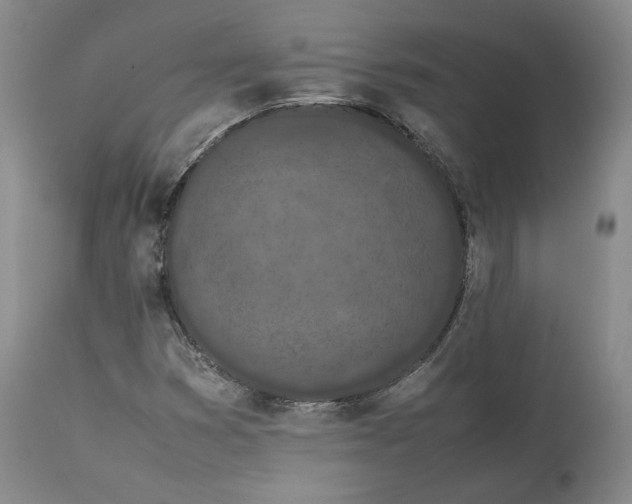 X0000113241353200909241537