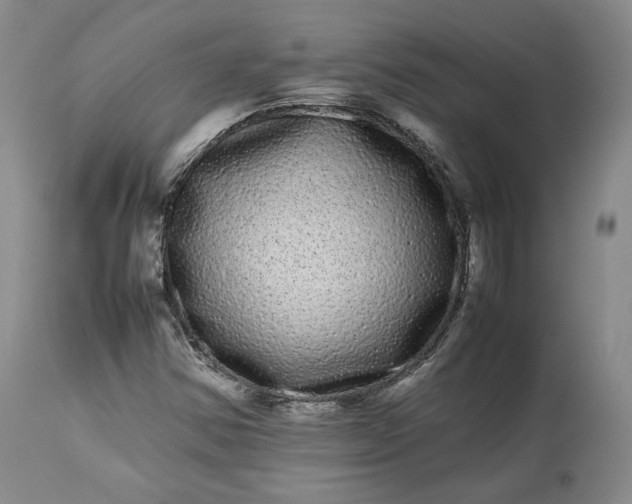 X0000113241354200909241537