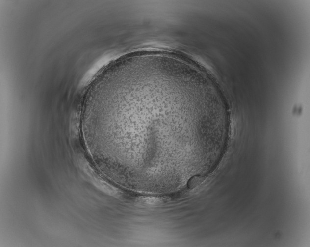 X0000113241355200909241537