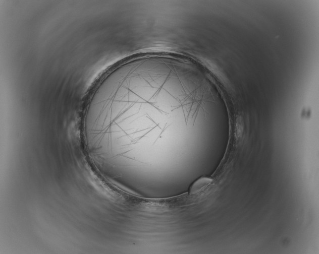 X0000113241356200909241537