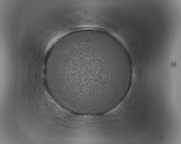 X0000113241357200909241537