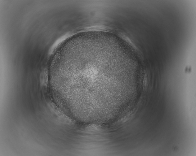 X0000113241358200909241537