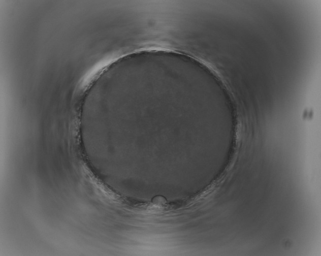 X0000113241359200909241537