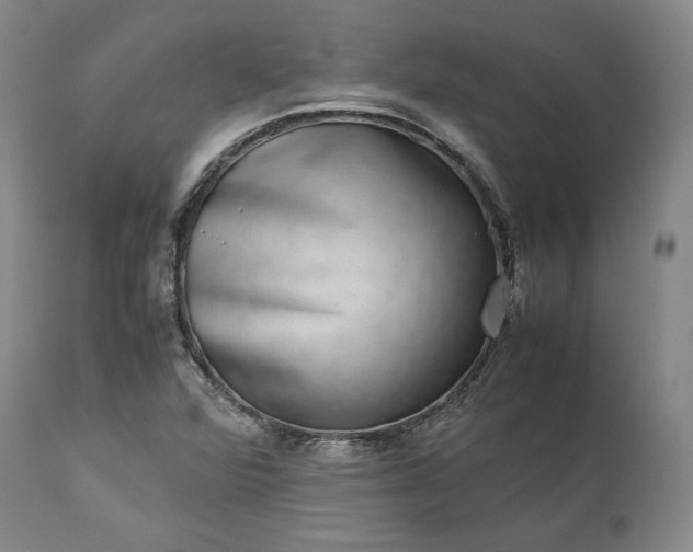 X0000113241360200909241537