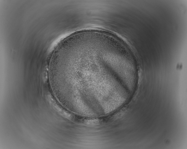 X0000113241363200909241537