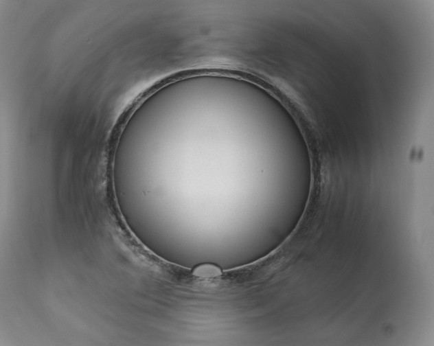 X0000113241364200909241537